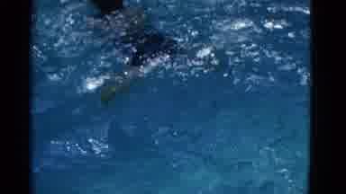 Yonkers New York (1953): Young Woman Expertly Doing The Breaststroke In The Clear