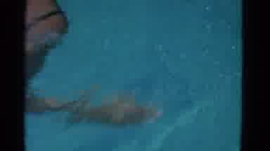 Yonkers New York (1953): A Person Is Swimming In The Blue Shining Water Of The