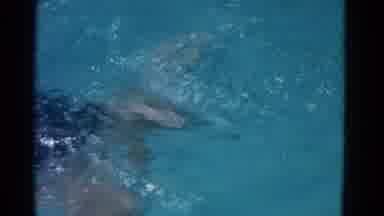 Yonkers New York (1953): Woman Swims In A Pool With Wearing A Swimsuit And A Head
