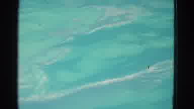 Yonkers New York (1953): Individual Gliding Through The Water As They Swim In