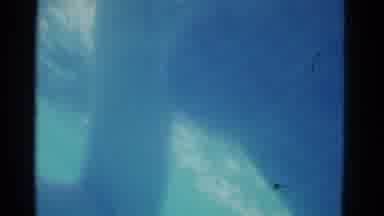 Yonkers New York (1953): Underwater Girl Swimming