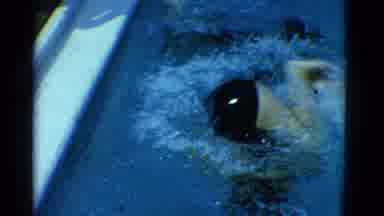 Yonkers New York (1953): Female Child Swimming In The Pool Doing A Wall Flip
