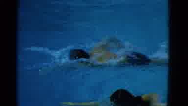 Yonkers New York (1953): Group Of Swimmers Competing In The Pool And Demonstrating