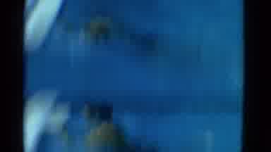 Yonkers New York (1953): Watch Me How I Swim Backwards In The Pool And Then Float