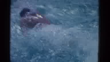 Yonkers New York (1953): Person Wearing White Swimwear Swims Laps In Pool On A