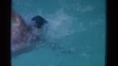 Yonkers New York (1953): Man Quickly Swimming From One Side Of A Pool To The Other