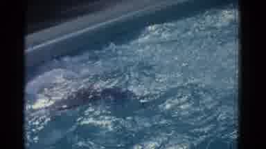 Yonkers New York (1953): Person Swimming Laps In Pool On A Bright Sunny Day