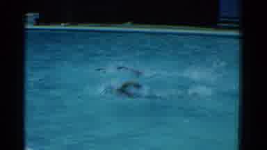 Yonkers New York (1953): Two Male Swimmers Compete In Front Crawl Swimming Pool
