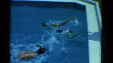 Yonkers New York (1953): The Persons Are Swimming In The Pool It Is Good Habit For
