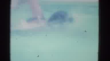 Yonkers New York (1953): Girl In A Black Bathing Suit Swimming In The Clear Waters