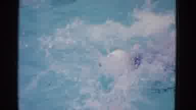 Yonkers New York (1953): She Swims In The Swimming Pool At Her House