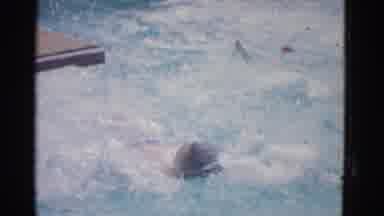 Yonkers New York (1953): Tperson Is Swimming In The Swimming Pool