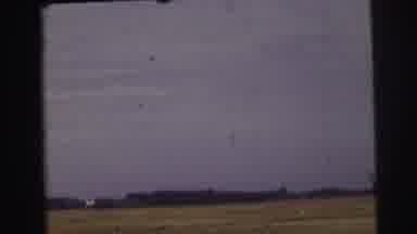 Le Mans France (1954): Trying To See Something In A Meadow Around The Place Is