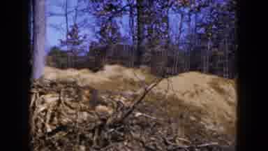 Hicksville New York (1954): View Of A Huge Loose Dirt Mound Surrounded By Trees
