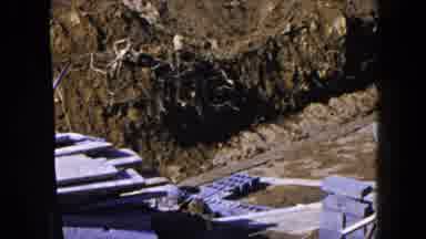 Hicksville New York (1954): View Of Neighborhood Construction In A Trench With