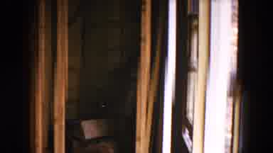 Hicksville New York (1954): There Is A House In This Place And The Trees And