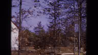 Hicksville New York (1954): It Is The Beautiful Place Look Like A Very Nicely