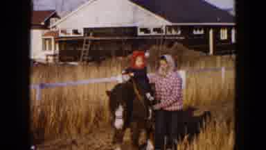 Hicksville New York (1954): The Lady Was Giving Horse Ride To The Baby And The