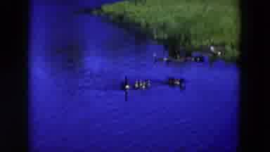Hicksville New York (1954): Geese Swimming Together With Goslings On The Edge Of A