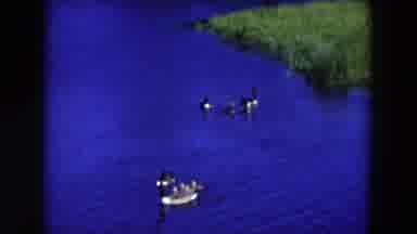 Hicksville New York (1954): Two Young Girls Play In The Grass And A Family Of