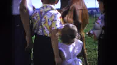 Hicksville New York (1954): Man And Kids Reaching Through Openings In Wire Fence