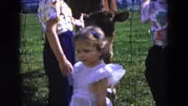 Hicksville New York (1954): Little Girl Looks At Animals Outside With Family On A