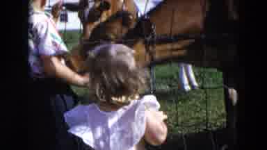 Hicksville New York (1954): A Group Of Kids Feeding Some Cows