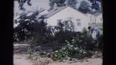 Hicksville New York (1954): Clothes Seem To Dry Better On A Old Fashioned Clothes