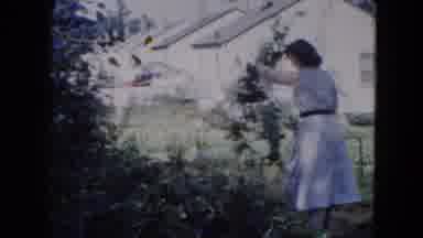 Hicksville New York (1954): Woman In Dress Relocating Excess Foliage After