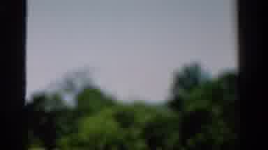 California USA (1954): Video Shot Out Of A Window Going From Blurry To Focused On