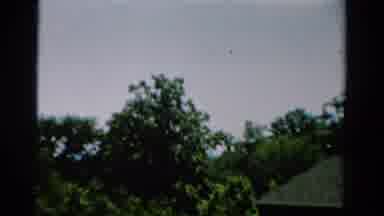 California USA (1954): There Is A Large Beautiful House In The Middle Of A Dense
