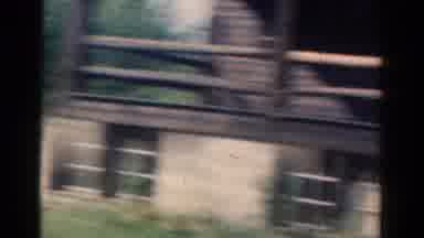 California USA (1954): Family Trip To A Cabin In The Woods Turns Into A Reunion