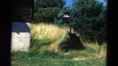 California USA (1954): The Baby Is Standing By The Flower Plant And Looking At The