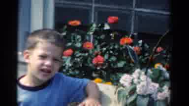 California USA (1954): A Little Boy Posing In The Gardennear With Colorful Flowers