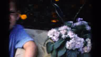 California USA (1954): I A Guy Sitting Next To A Flower And Watching A Car In The