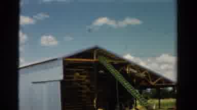 California USA (1954): An Old Barn With A Large Piece Of Metal Leaves On The Side