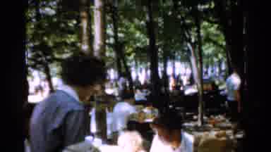California USA (1954): Large Collective Lunch Of The Community In A Wooded Area