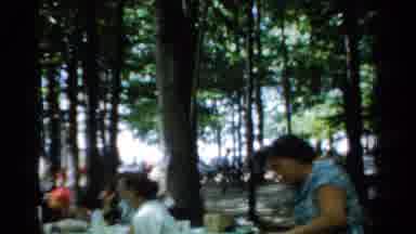 California USA (1954): Cheerful Meal Outdoors Amidst Nature Of Group Of People In