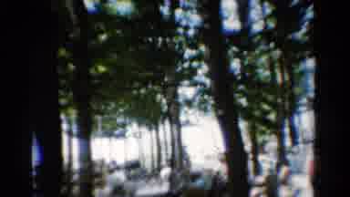 California USA (1954): People At Large Picnic On Bright Sunny Day