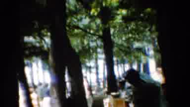 California USA (1954): Group Of People Make A Pick Nick In A Very Wooded Area Amid