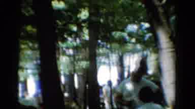 California USA (1954): Summer Picnic In The Forest With Camping Friends At Old