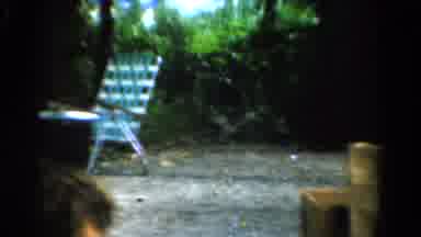 California USA (1954): Family Gathering Outdoors Featuring An Older Man And Older