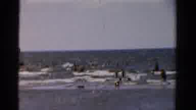 Panama City Beach Florida (1954): Kids Playing In The Ocean