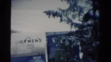 Toledo Ohio USA (1954): View Of Evergreen Trees With White Sign On A Sunny Day