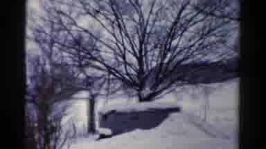 Toledo Ohio USA (1954): Winter Time Out In The Yard With Trees And Shed Covered