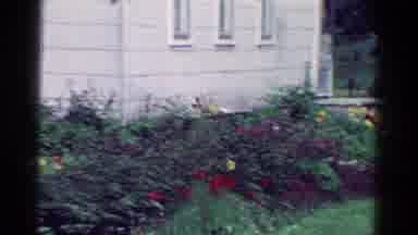 Toledo Ohio USA (1954): Outside The Big Grey Building A Rose Full Garden Is