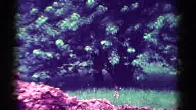 Toledo Ohio USA (1954): Shaky Vintage Video Footage Of A Person Standing