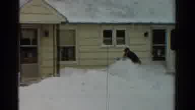 Toledo Ohio USA (1954): Older Gentleman Demonstrates Snow Blower's Ability In Deep