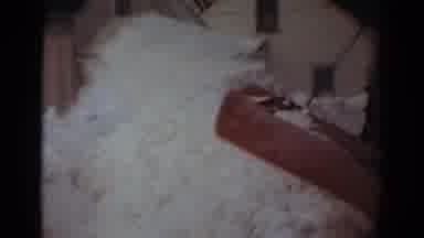 Toledo Ohio USA (1954): A Child Is Standing There Waiting For A Vehicle To Clear