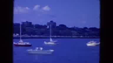 New York City (1954): Many Boats Parked In The River With Many Trees In The